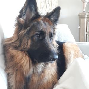 Meet your Posher, Anya